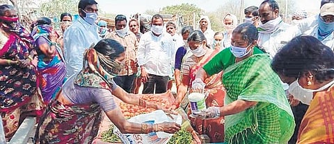 Mulugu Congress MLA Danasari Anasuya distributing vegetables to tribal people at a hamlet in Mulugu on Tuesday