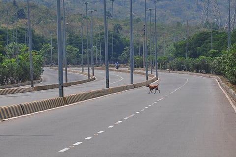 Image used for represenatation. (Photo | G Sathyanarayana/EPS)