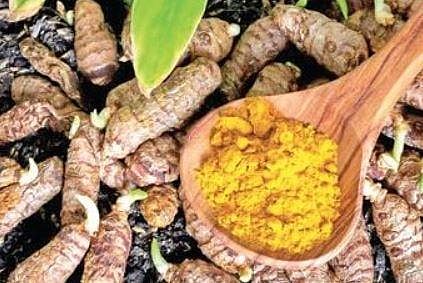 Corona-positive: Turmeric farmers see spike in demand