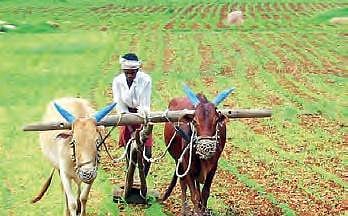 For representational purposes