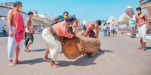 Biswakarmas carrying a log to Ratha Khala for construction of chariots in Puri on Saturday. (Photo | EPS)