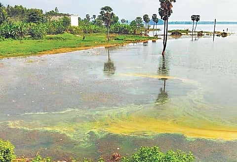 Meghadri Gedda reservoir in Visakhapatnam (Photo | G Satyanarayana, EPS)