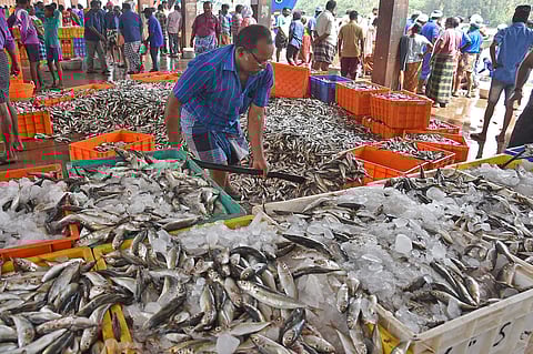 For representational purposes (File Photo | EPS)