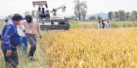 Agriculture officials training locals to operate combine harvesters. (Photo | EPS)