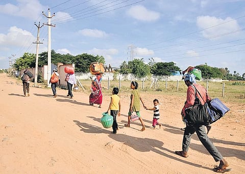 Stopped at Nallur Tollgate,  migrant labourers attempting a different route while walking back home | DEBADATTA MALLICK