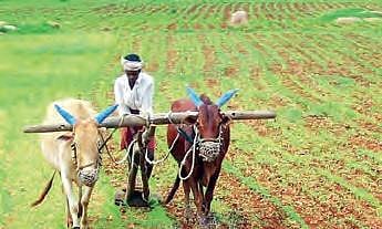 Farmers in Telangana.