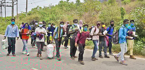 Migrant workers walking their way back to homes in Odissa from Chennai. (Photo | Shiba Prasad Sahu, EPS)