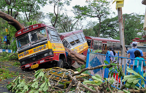 Mangled remains of a bus after a tree fell on it during Cyclone Amphan in Kolkata Thursday May 21 2020. (Photo | PTI)