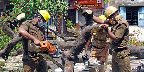 Fire Brigade personals were cutting the trees and try to clear the road after the passage of Amphan, at Bidhan Sarani, in Kolkata. (Photo| ANI)
