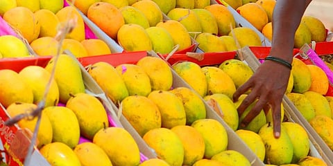 For representational purposes (Photo | EPS)