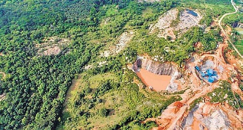 Officials said that the joint survey is a cumbersome task | Express