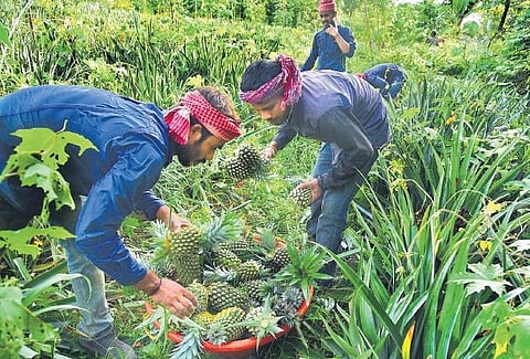 Representational image