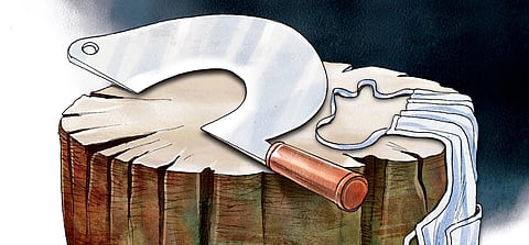 Other cities in Gujarat already have restrictions regulating the sale of meat and meat products, although Palitana is the first to take out an outright ban.