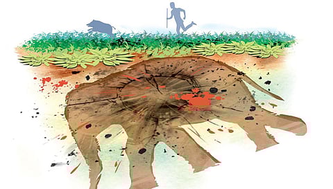 Express Illustration 