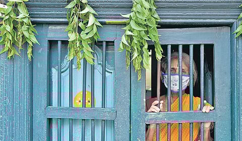An elderly  woman hangs neem leaves around her house to save herself from coronavirus. (Photo | R Satish BAbu, EPS)
