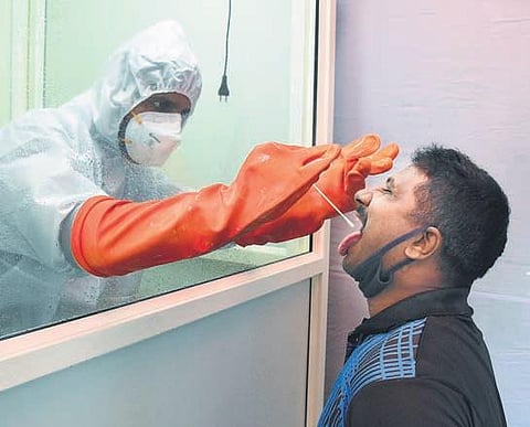 A man voluntarily giving his swab samples for Covid-19 tests. | Madhav K