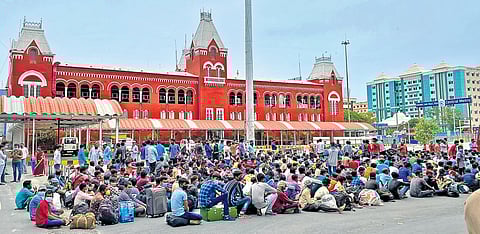 The vigilant volunteer