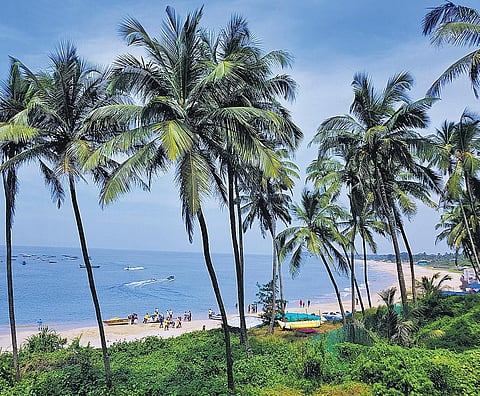 Shuchi Singh’s latest book 'Done with Love' is a heartbreak sundowner