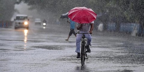 Vatakara in Kozhikode district received 19 cm rainfall in the 24 hours ended 8.30 am on Tuesday. (Photo | PTI)