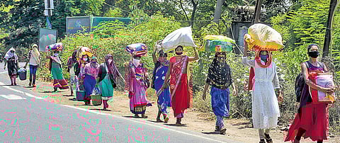 Migrants from Madhya Pradesh walk along a road towards their native places, in Surat. (File Photo)