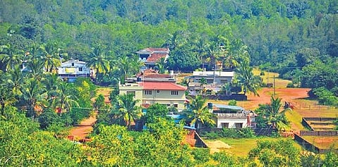 Lush greenery surrounds Halakar village in Kumta taluk | Pics by: D Hemanth