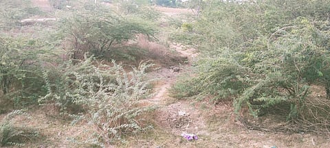 People have complained they were losing parts of the river every day due to poor maintenance and encroachment. (Photo | EPS)