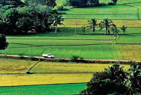 A pickup truck passes agricultural fields near Tirupati on Sunday | MADHAV K