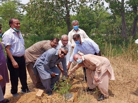 Pakistan's Parliamentary Secretary on Human Rights Lal Chand Malhi places the foundation stone of temple. (Photo| IANS)