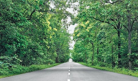 For representational purposes