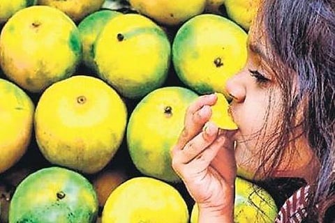 Fruits: To cost more