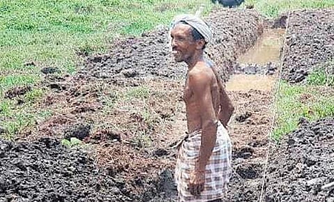 Reclamation of fallow land puts agricultural officers on receiving end 