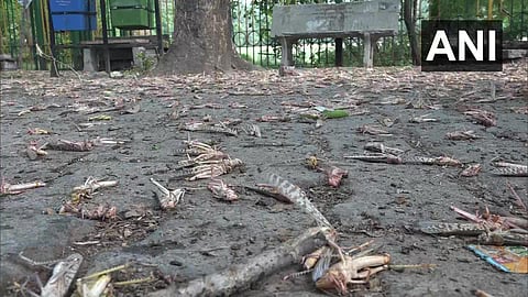 Control operations are underway.