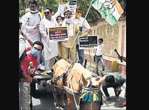 DPCC president rides a bullock cart in protest against fuel price hike. (Photo | Parveen Negi, EPS)