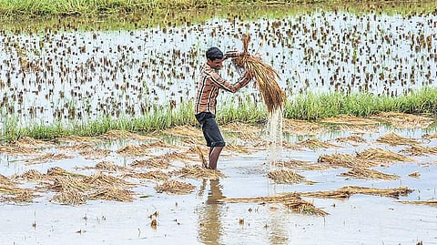 Image used for representational purposes.