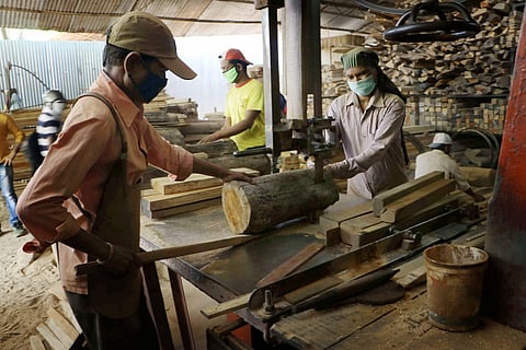 Labourers cut tree logs at a sawmill as seen on World Environment Day during the ongoing COVID-19 lockdown in Nagpur Friday June 5 2020. (Photo | PTI)