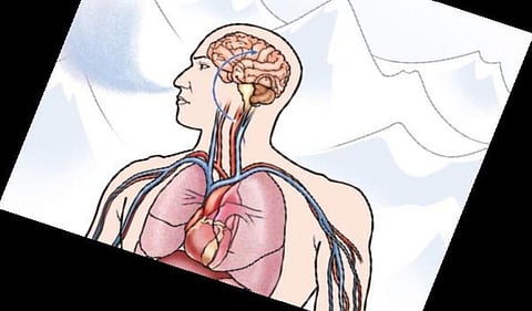 A condition in which a person’s oxygen level in blood cells and tissues drop without any warning signs, silent hypoxia has already claimed the lives of many Covid-19 patients in the country.