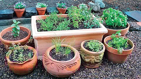 For representational purposes