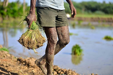 For representational purposes. (Photo| Debadatta Mallick, EPS)