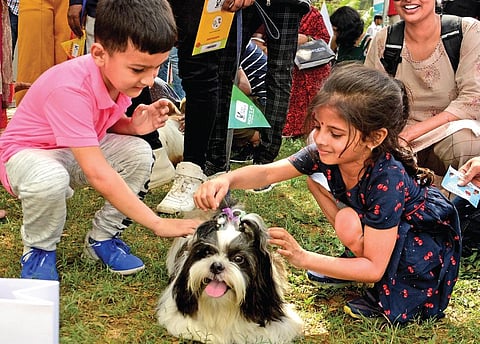 Representational pic