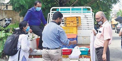 Sreekanth and Arun, formerly employed with five star hotels in the state, sell fish near Kaloor stadium in Kochi. (Photo | Albin Mathew, EPS)