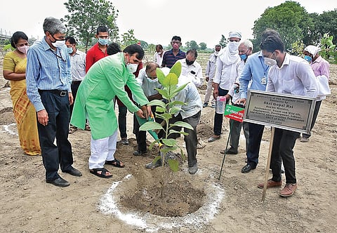 Delhi Environment Minister Gopal Rai takes part in a plantation drive in New Delhi. (Photo | Shekhar Yadav, EPS)