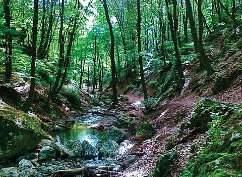 For representational purposes