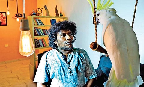 Still from 'Cocktail'