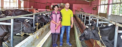 Vikhyath and his wife Nandanisha at their dairy farm in Heggunje village in Udupi | prakash samaga