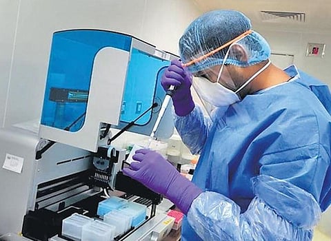 In-vitro culture of coronavirus at ILS