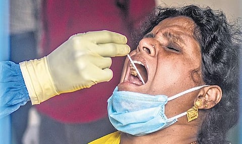 Swab samples being collected in BJB Nagar in Bhubaneswar on Tuesday | EXPRESS