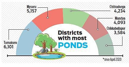 Karnataka to get 56k farm ponds in over 3 months