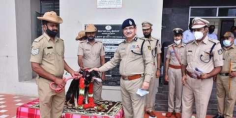 ADGP Dr Amarkumar Pandey felicitated K9 officer Tunga at district police headquarters in Davangere city on Friday.  | EPS