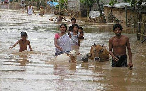 Assam floods (Photo | PTI)