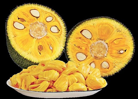 'Jack of all health': Here are some of the many benefits of the fruit